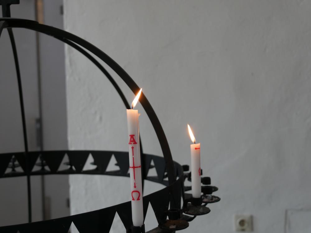 Struktur und Verwaltung