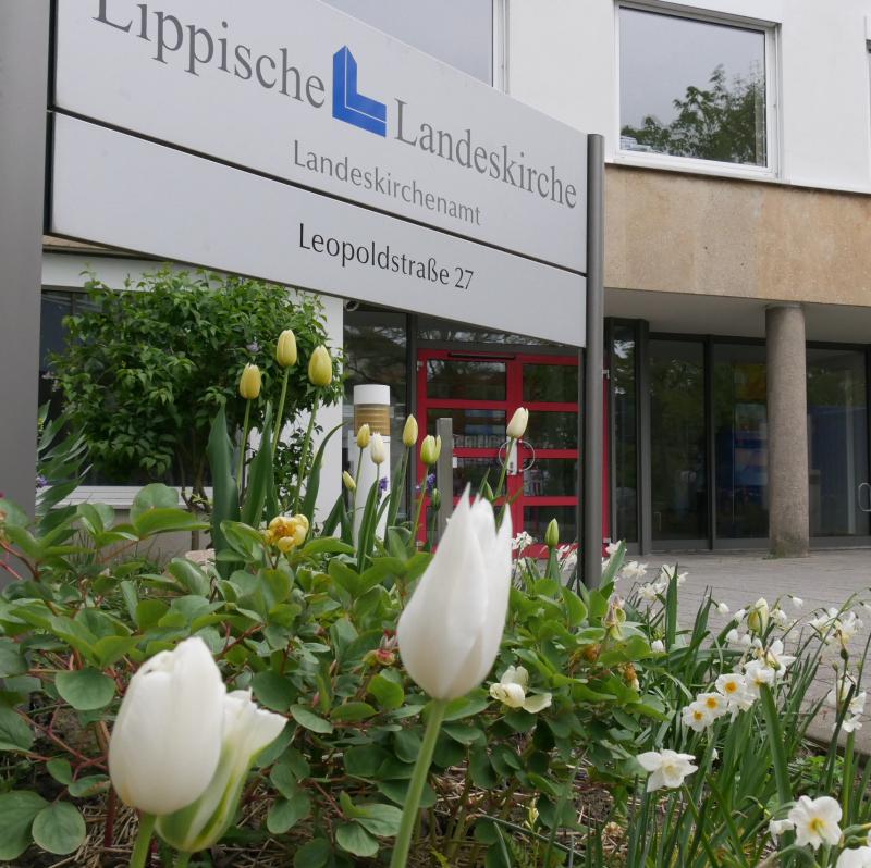 Kandidaten stehen fest